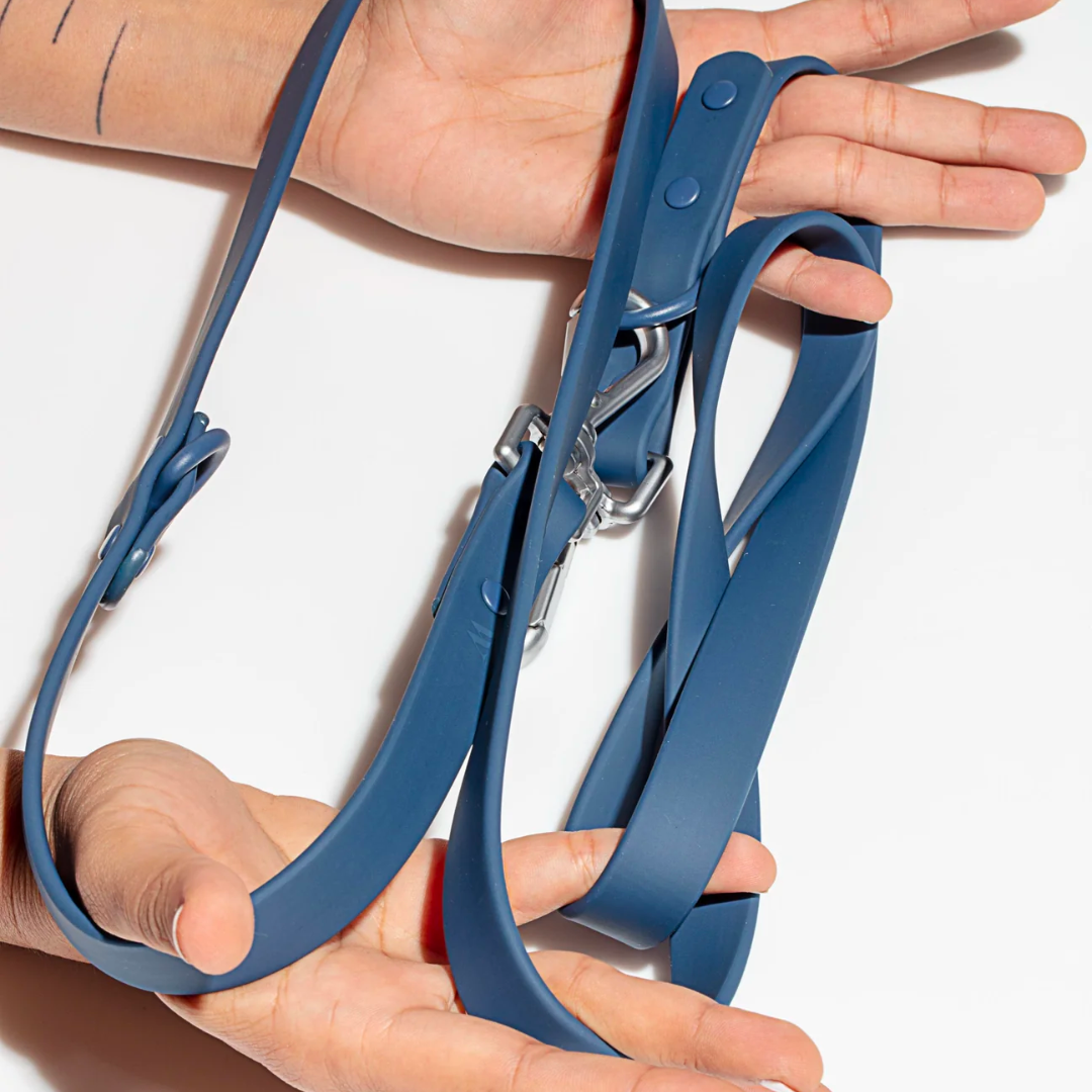 Premium Leash