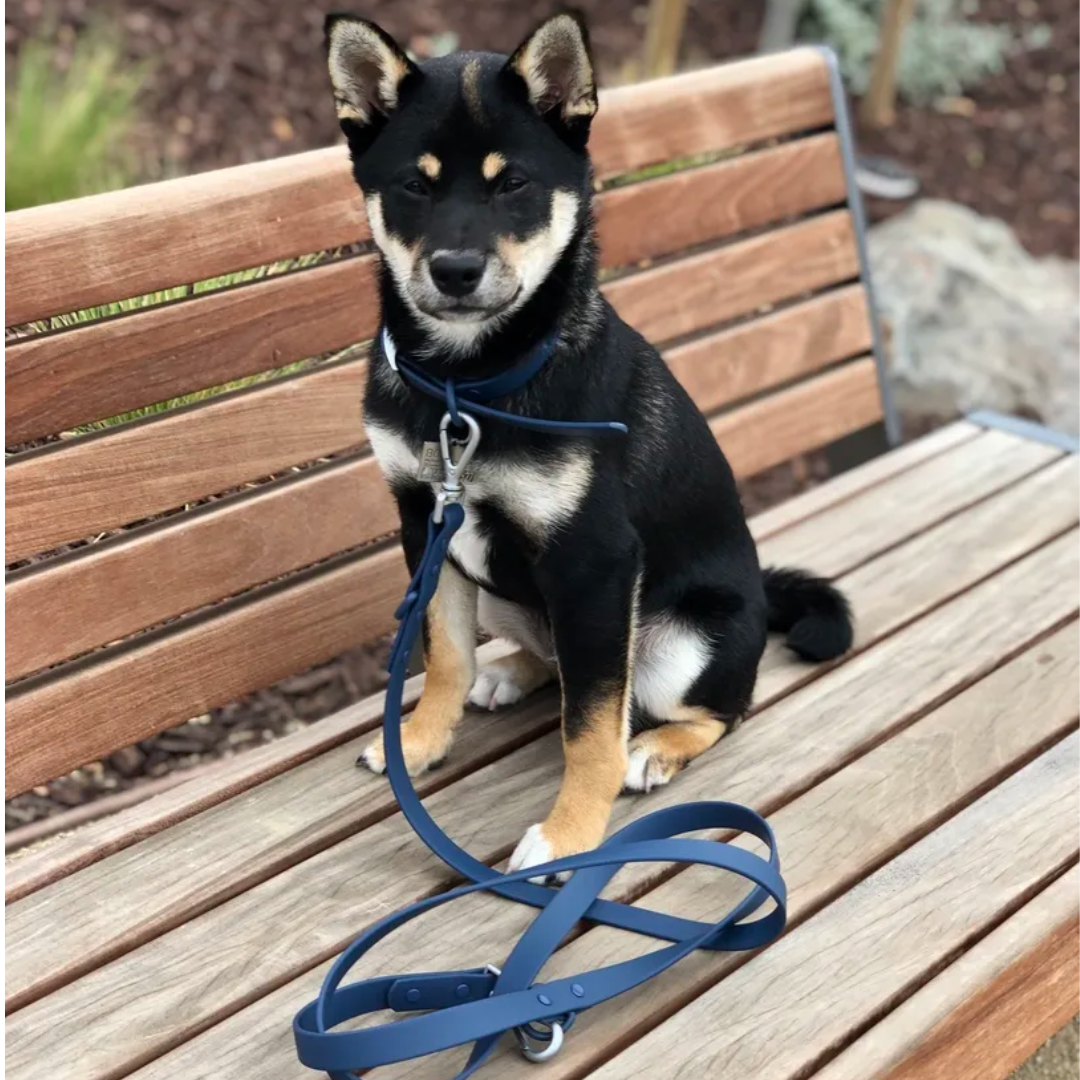 Premium Leash
