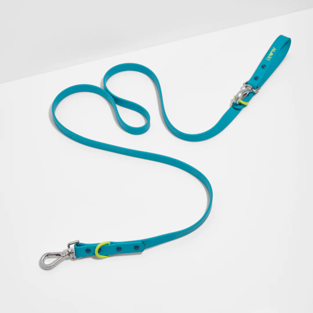 Premium DESIGNER Colorful Leash
