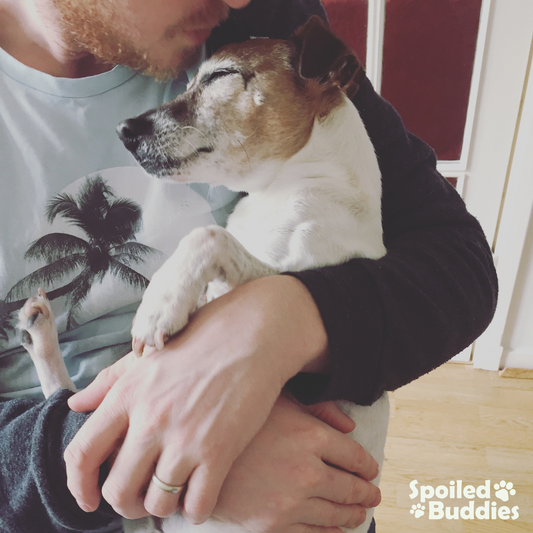 Consejos de Cuidado y Bienestar para tu Mascota