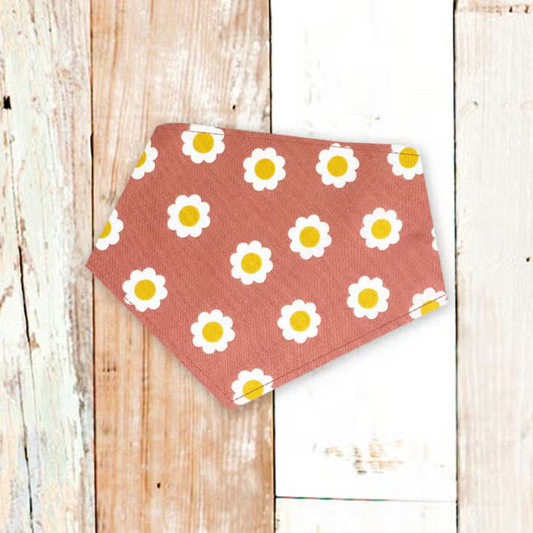 Desert Daisies Dog Bandana