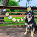 Birthday Crown Dog Hat