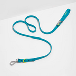 Premium DESIGNER Colorful Leash