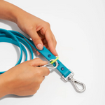Premium DESIGNER Colorful Leash