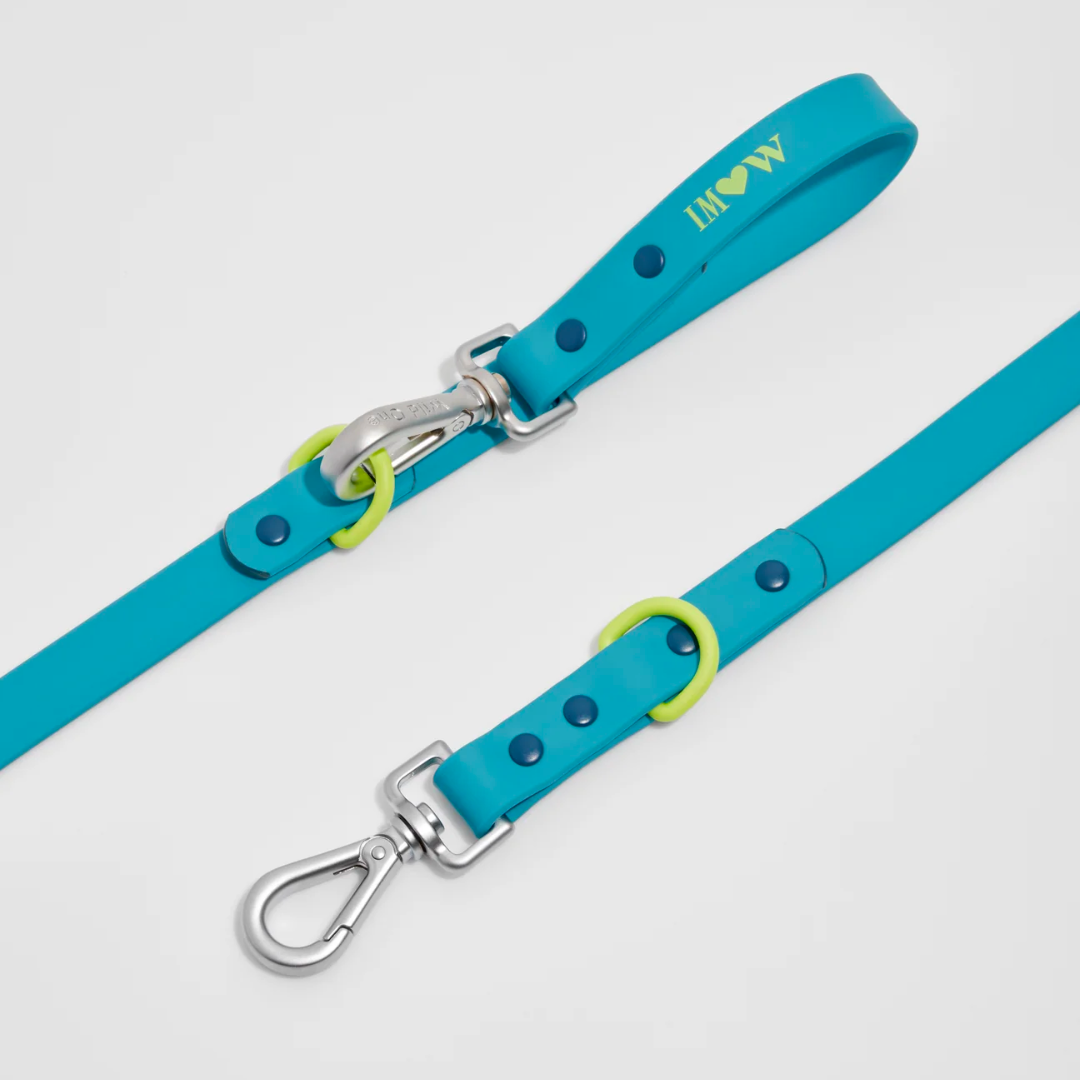 Premium DESIGNER Colorful Leash