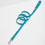 Premium DESIGNER Colorful Leash